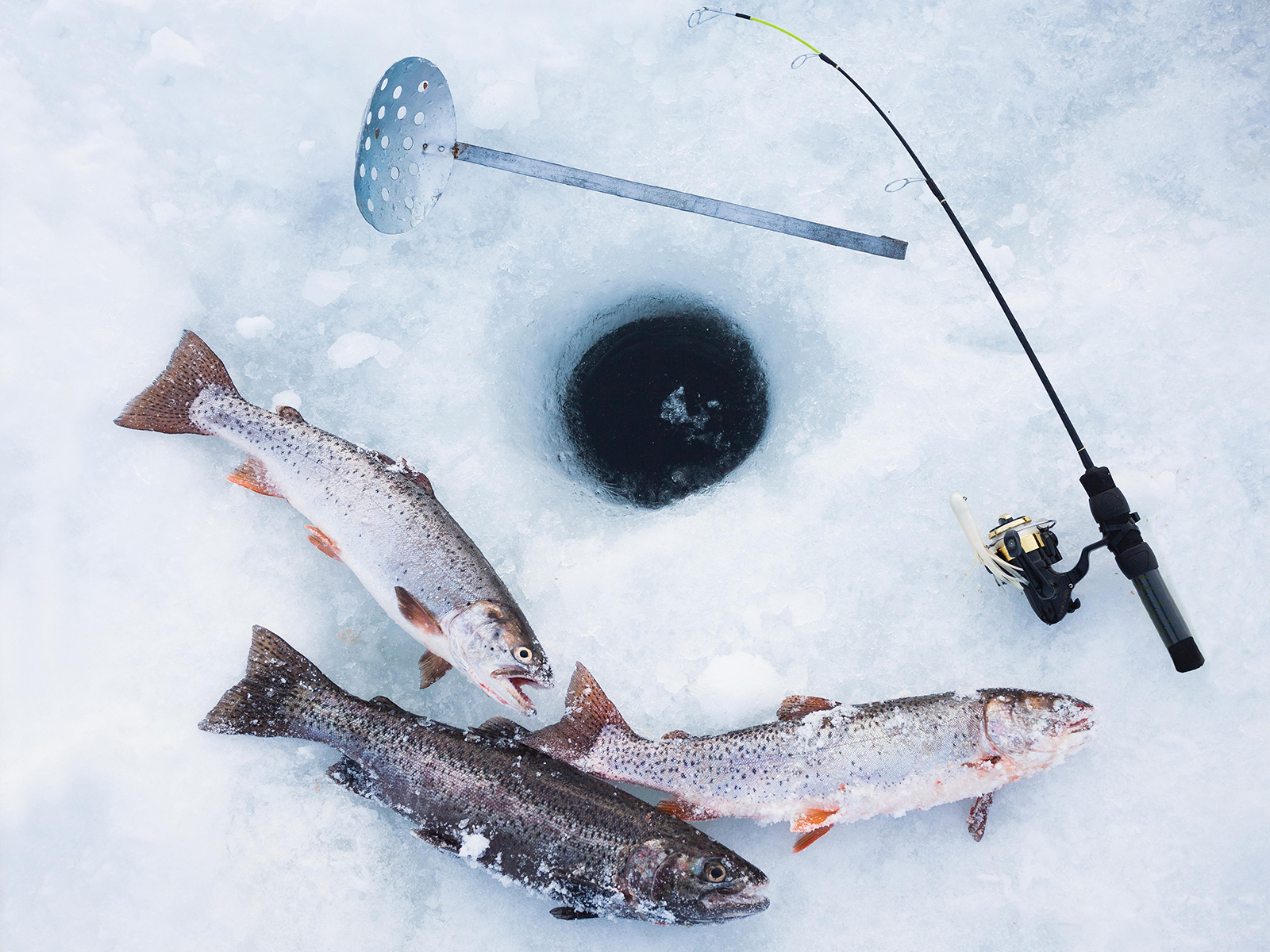 Ice fishing on frozen lake in Kiruna Swedish Lapland - Arctic winter adventure