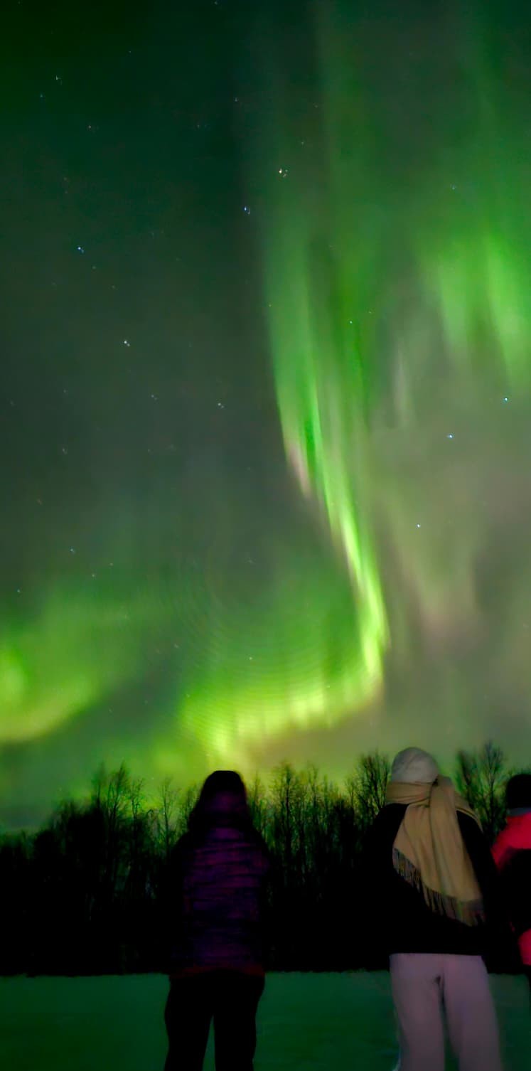 Small group Northern Lights experience in Kiruna with Aurora Dreams